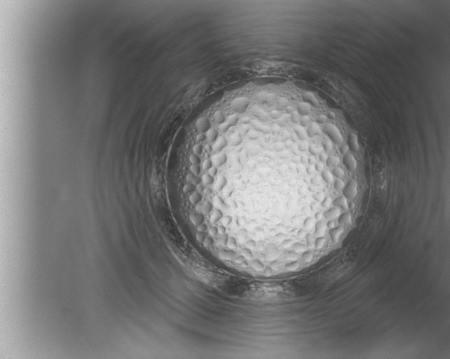 X0000080130607200612302038