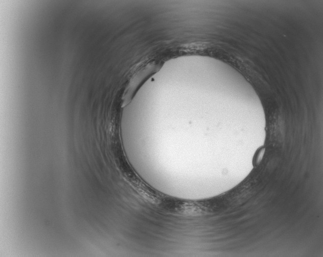 X0000080130608200612302038