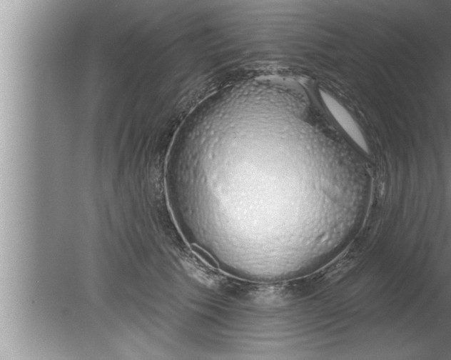 X0000080130609200612302038