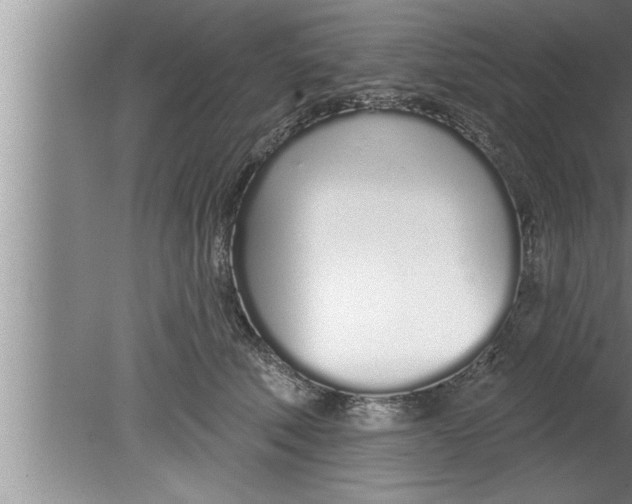 X0000080130610200612302038