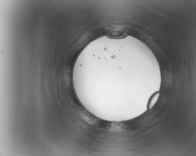 X0000080130612200612302038