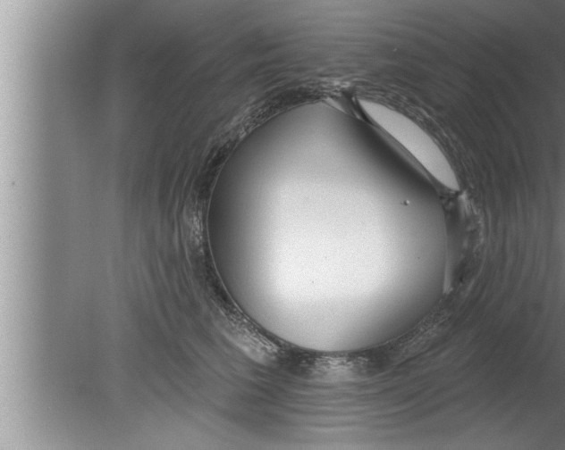 X0000080130613200612302038