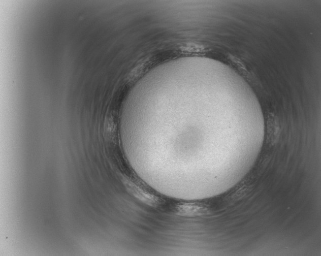 X0000080130614200612302038