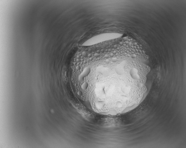 X0000080130615200612302038