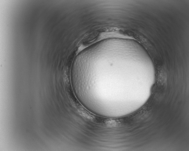 X0000080130616200612302038