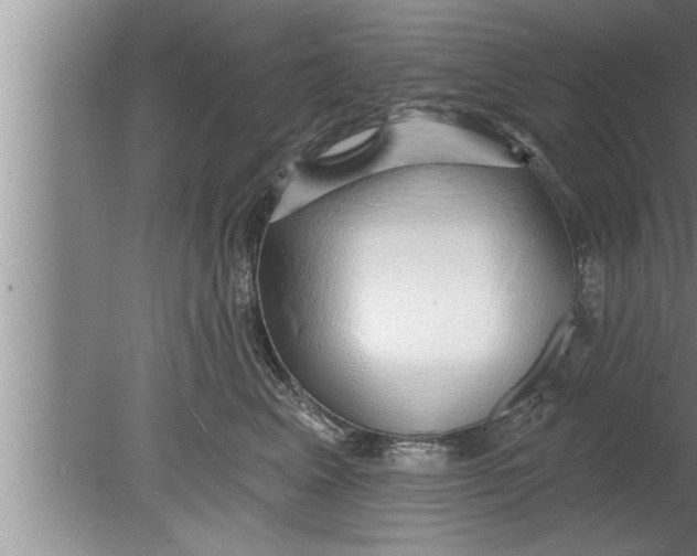 X0000080130617200612302038