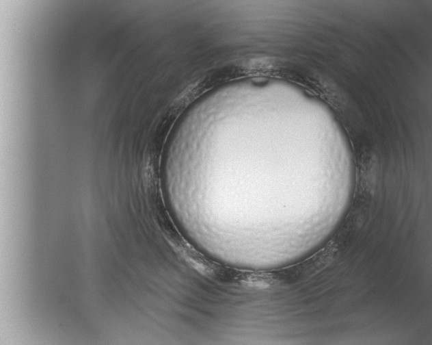 X0000080130618200612302038