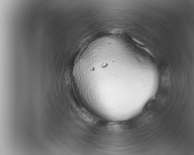 X0000080130620200612302038