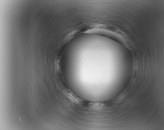 X0000080130621200612302038