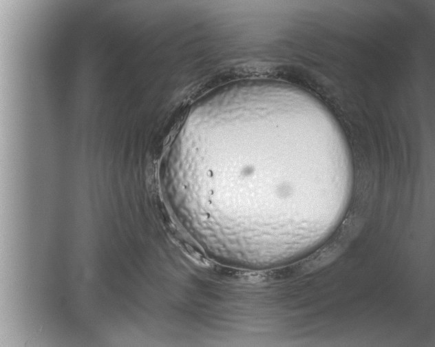 X0000080130624200612302037