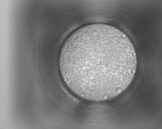 X0000080130625200612302037