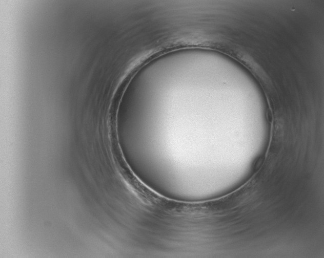 X0000080130626200612302037