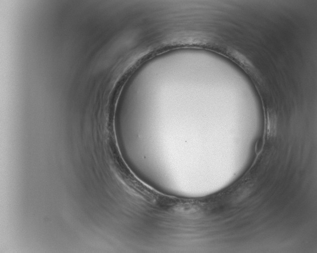 X0000080130627200612302037