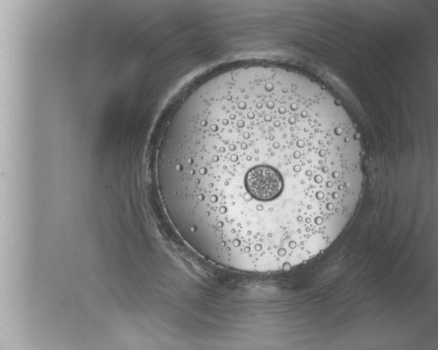 X0000080130628200612302037