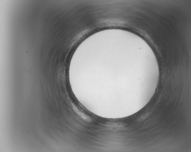 X0000080130629200612302037