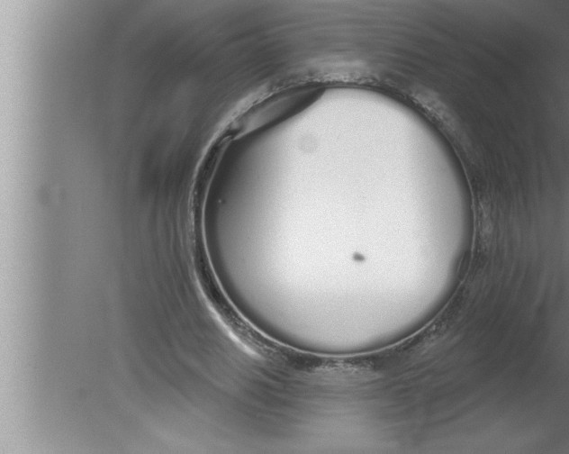 X0000080130630200612302037