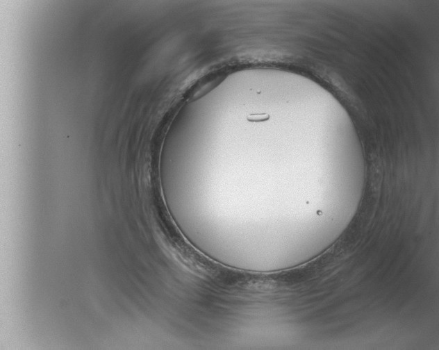 X0000080130631200612302037