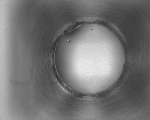 X0000080130633200612302037