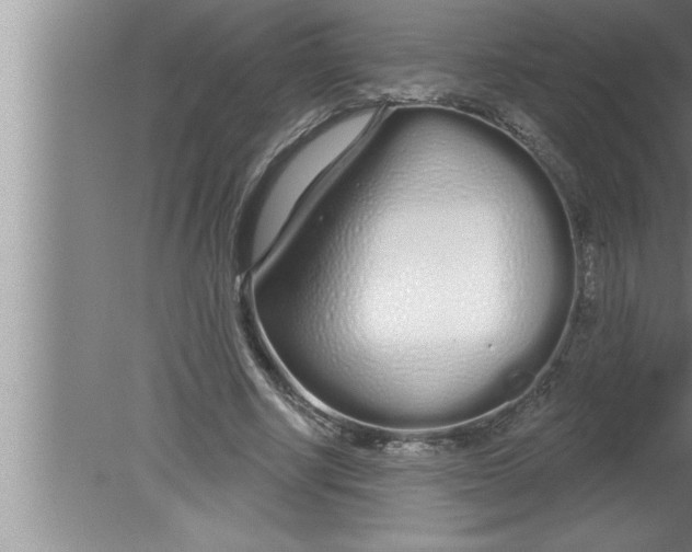 X0000080130634200612302037