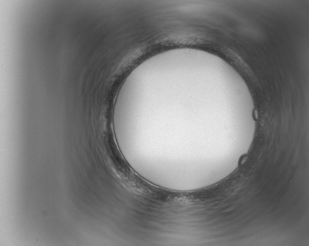 X0000080130635200612302037