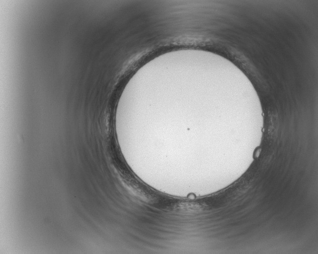 X0000080130636200612302037