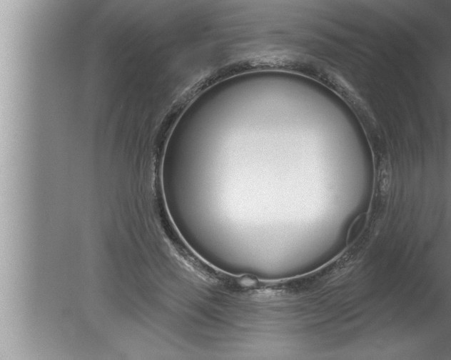 X0000080130637200612302037