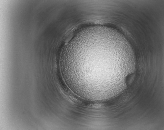 X0000080130639200612302037