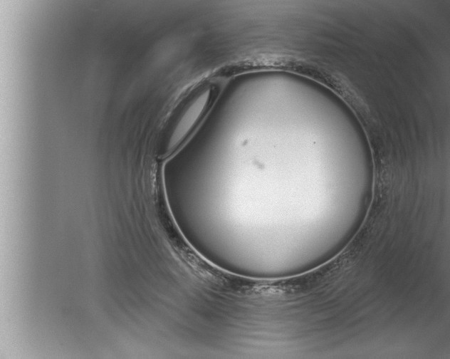 X0000080130640200612302037