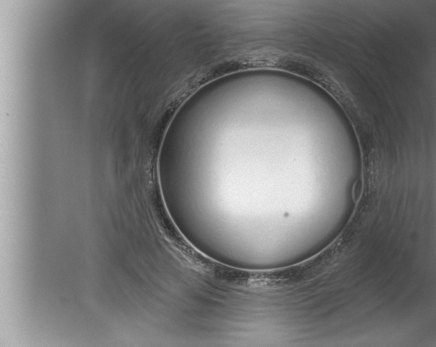 X0000080130641200612302037