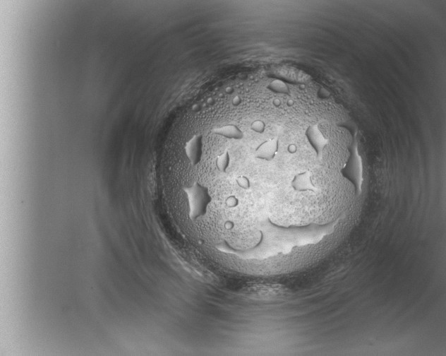 X0000080130642200612302037