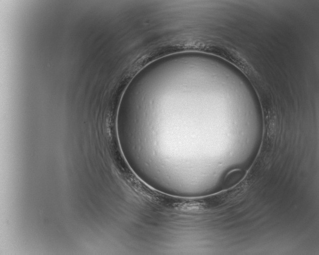 X0000080130643200612302037