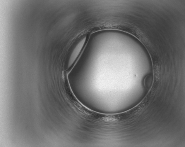 X0000080130644200612302037