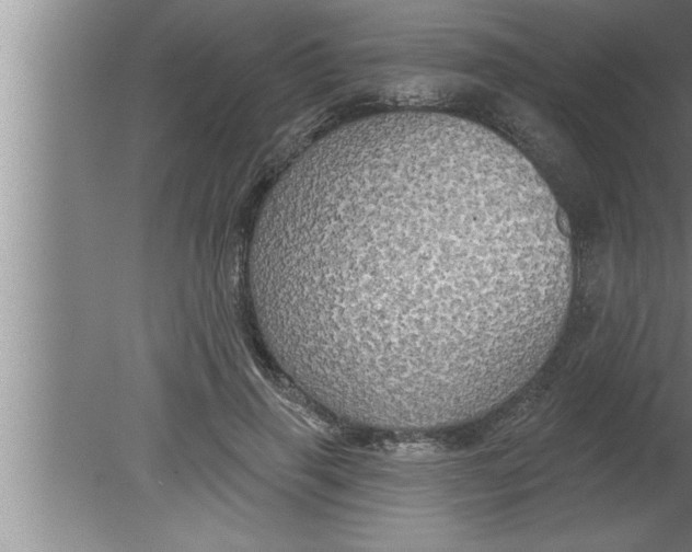 X0000080130645200612302037