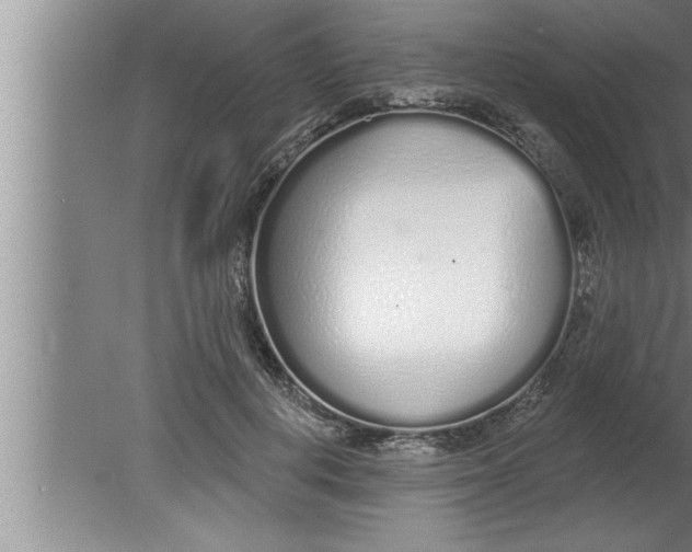 X0000080130648200612302037