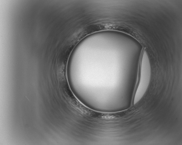 X0000080130650200612302037