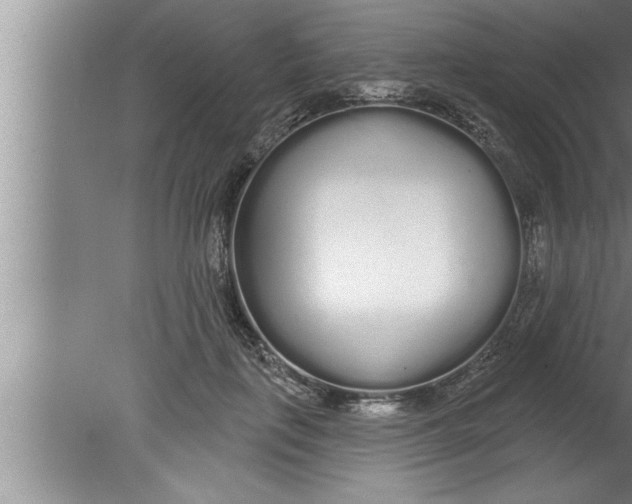 X0000080130651200612302037