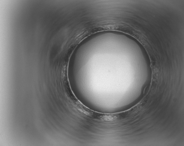 X0000080130652200612302037