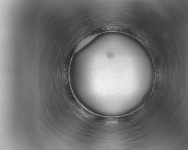 X0000080130653200612302037