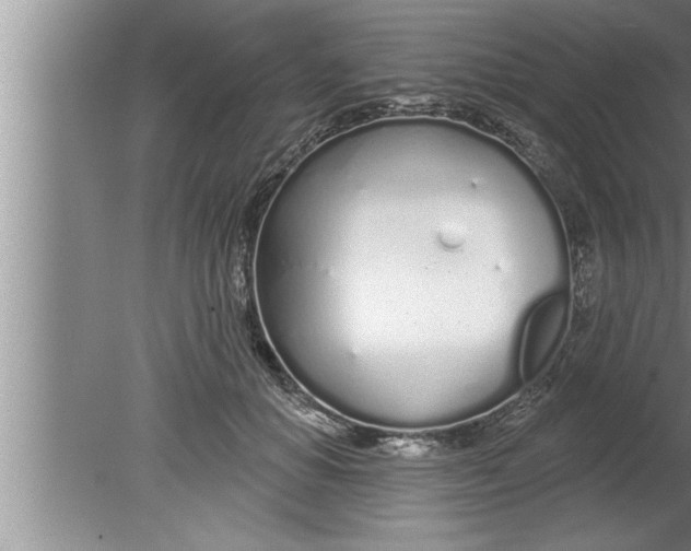 X0000080130654200612302037