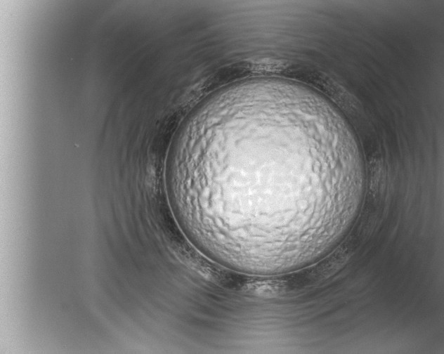 X0000080130655200612302037