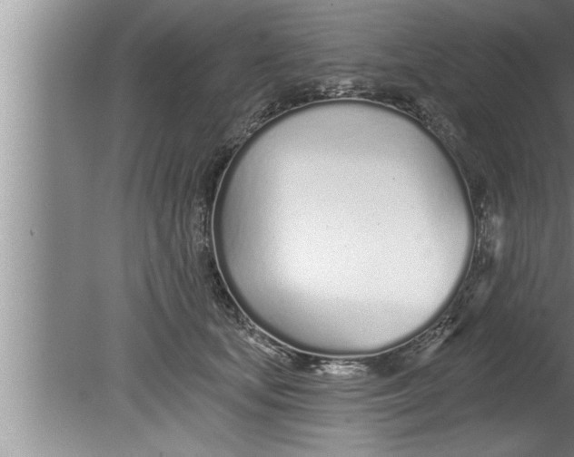 X0000080130659200612302037