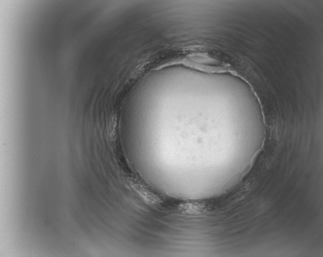 X0000080130660200612302037