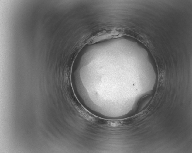 X0000080130662200612302037