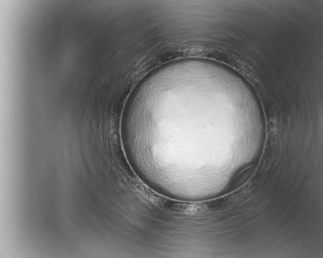 X0000080130663200612302037