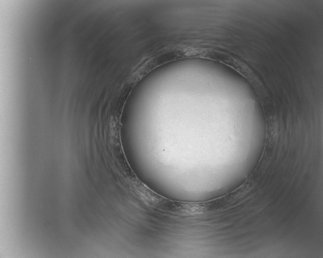 X0000080130667200612302037