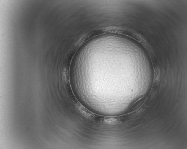 X0000080130669200612302037