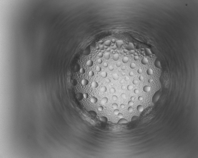 X0000080130670200612302037