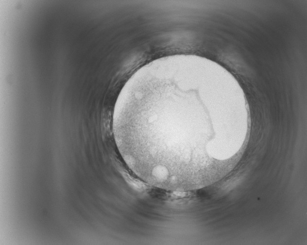 X0000080130672200612302037