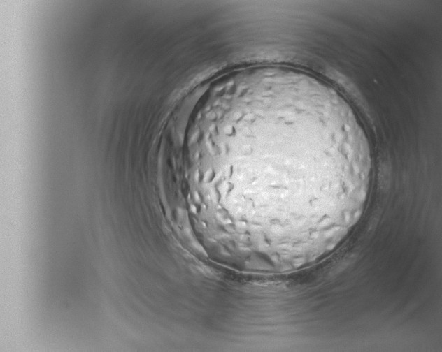 X0000080130673200612302037