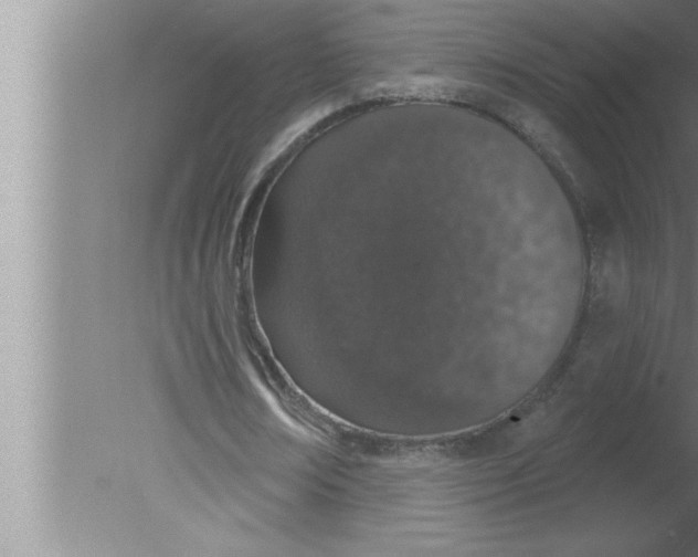 X0000080130674200612302037